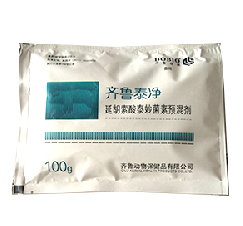 齊魯泰凈