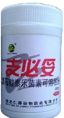支必妥