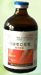 強(qiáng)龍腸泰