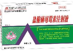 重病心鏈康