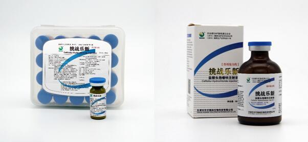 挑戰(zhàn)樂新